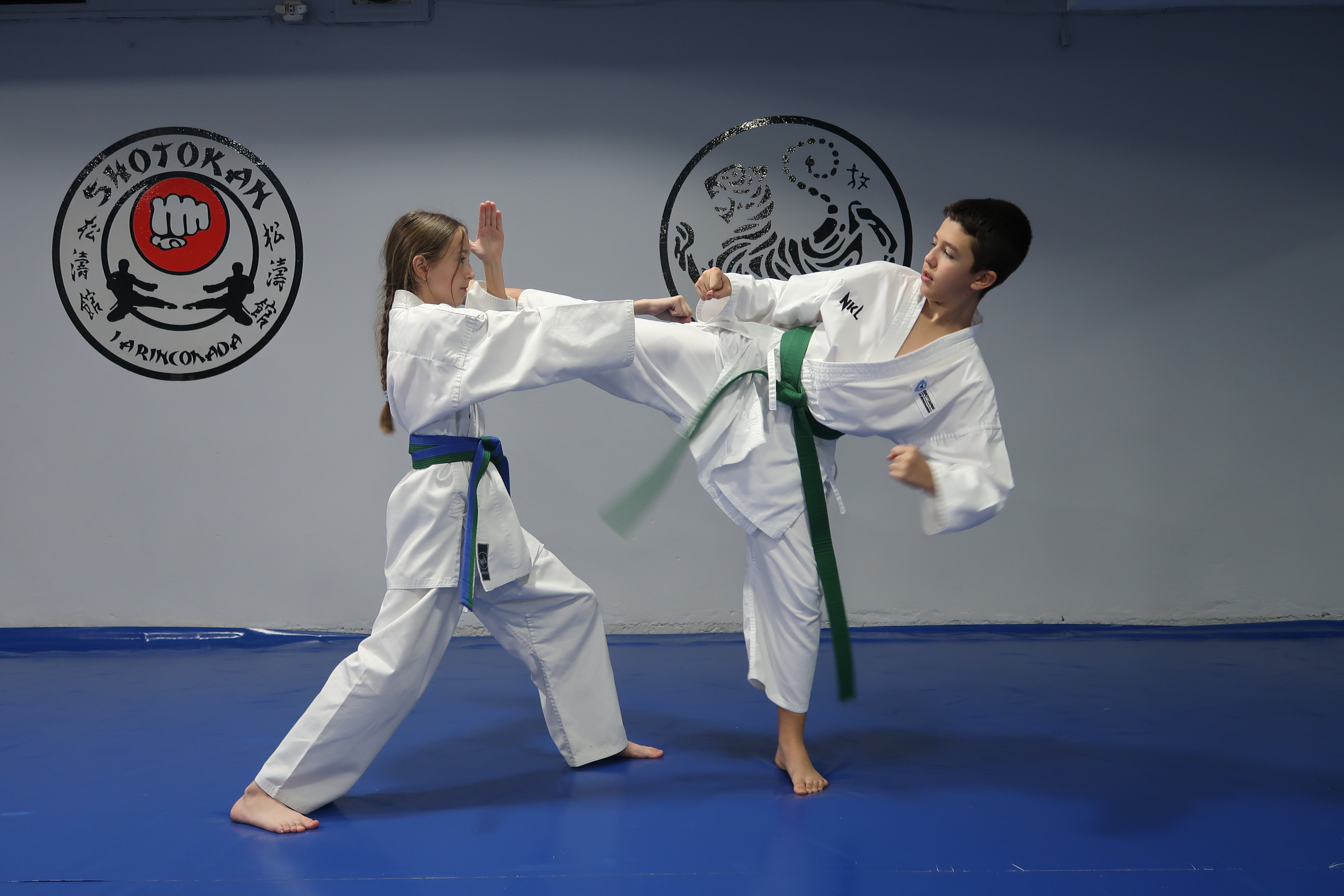 Compañeros haciendo karate